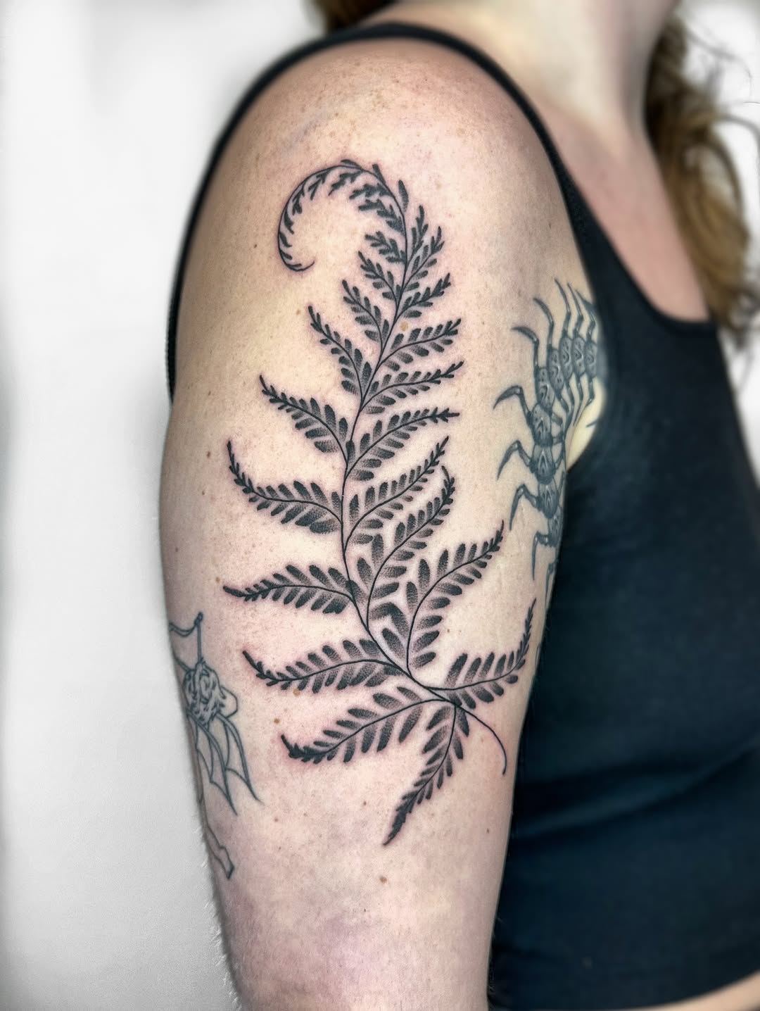 Elegant fern leaf tattoo on arm