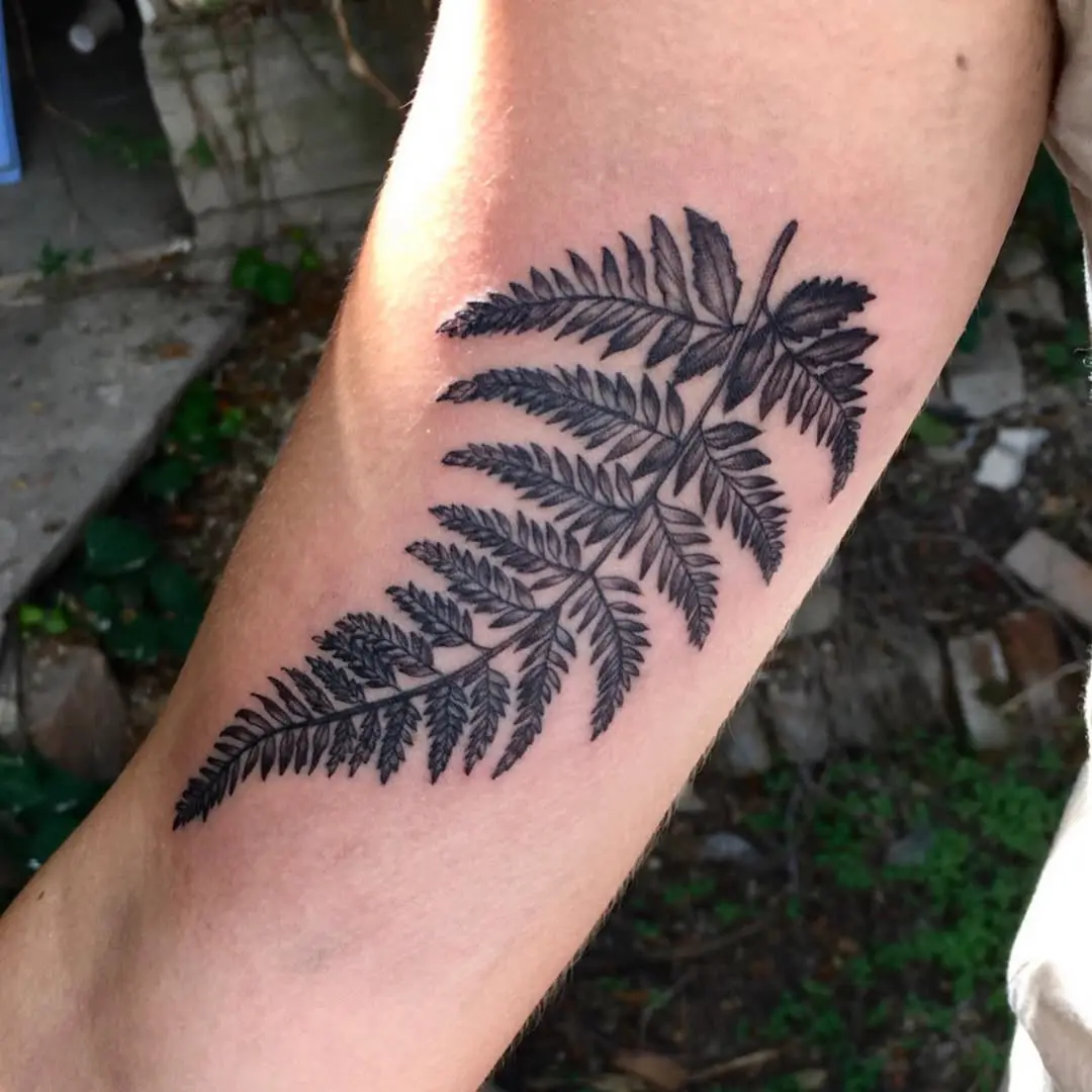 Elegant fern leaf tattoo on the forearm