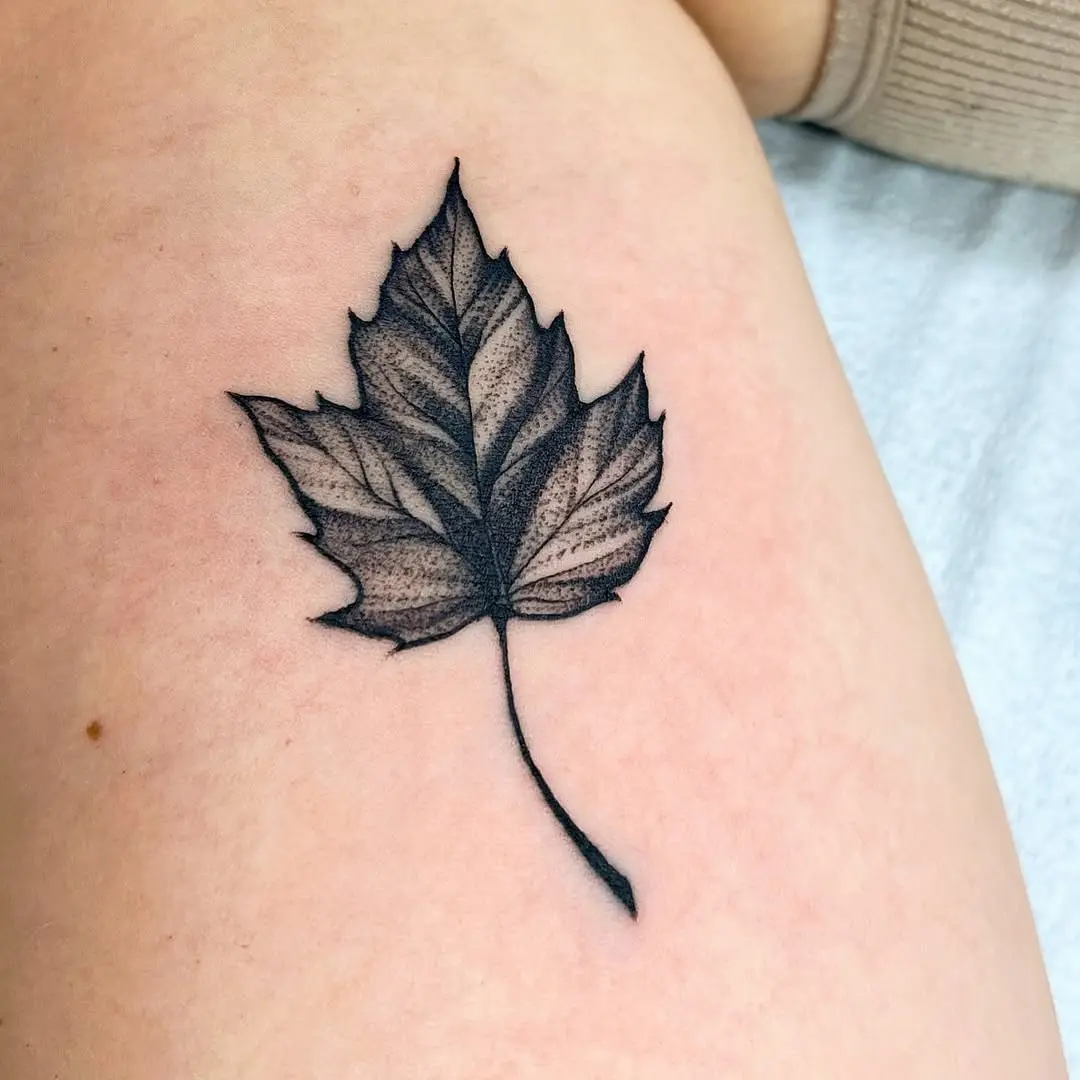 Intricately detailed maple leaf tattoo design