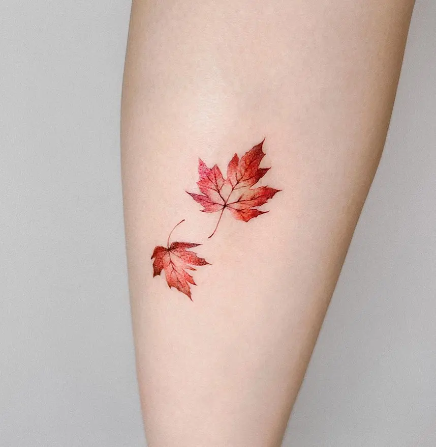 Vibrant red maple leaves tattoo on skin