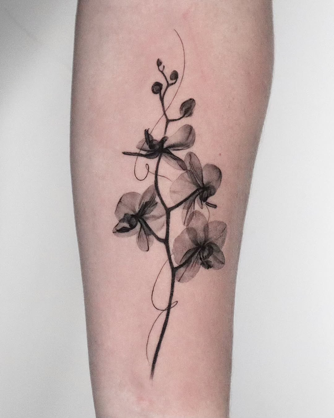 Elegant black orchid tattoo showcasing delicate artistry.
