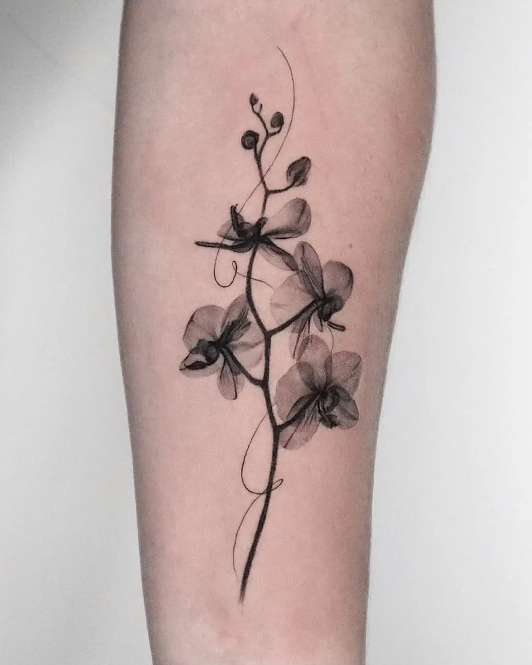 Elegant black orchid tattoo showcasing delicate artistry.