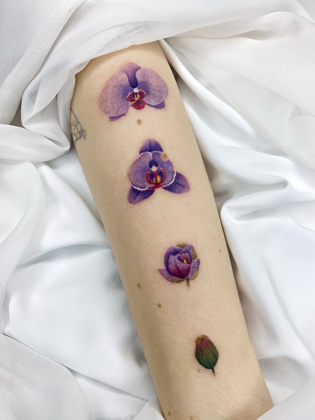 Elegant orchid tattoos for delicate floral expressions