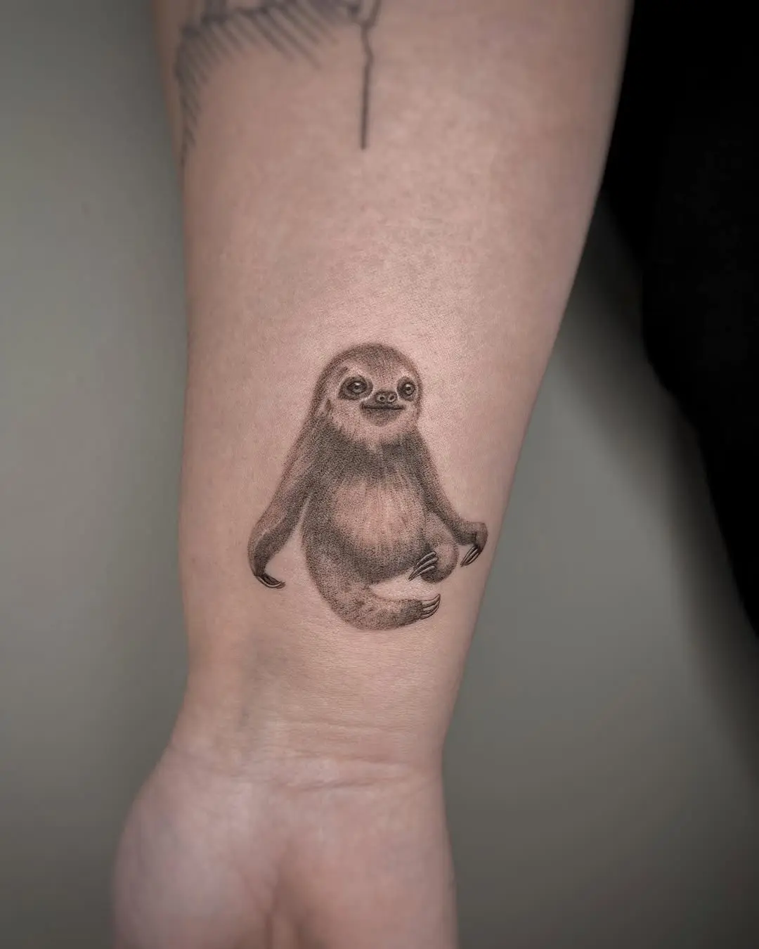 Charming realistic sloth tattoo on arm