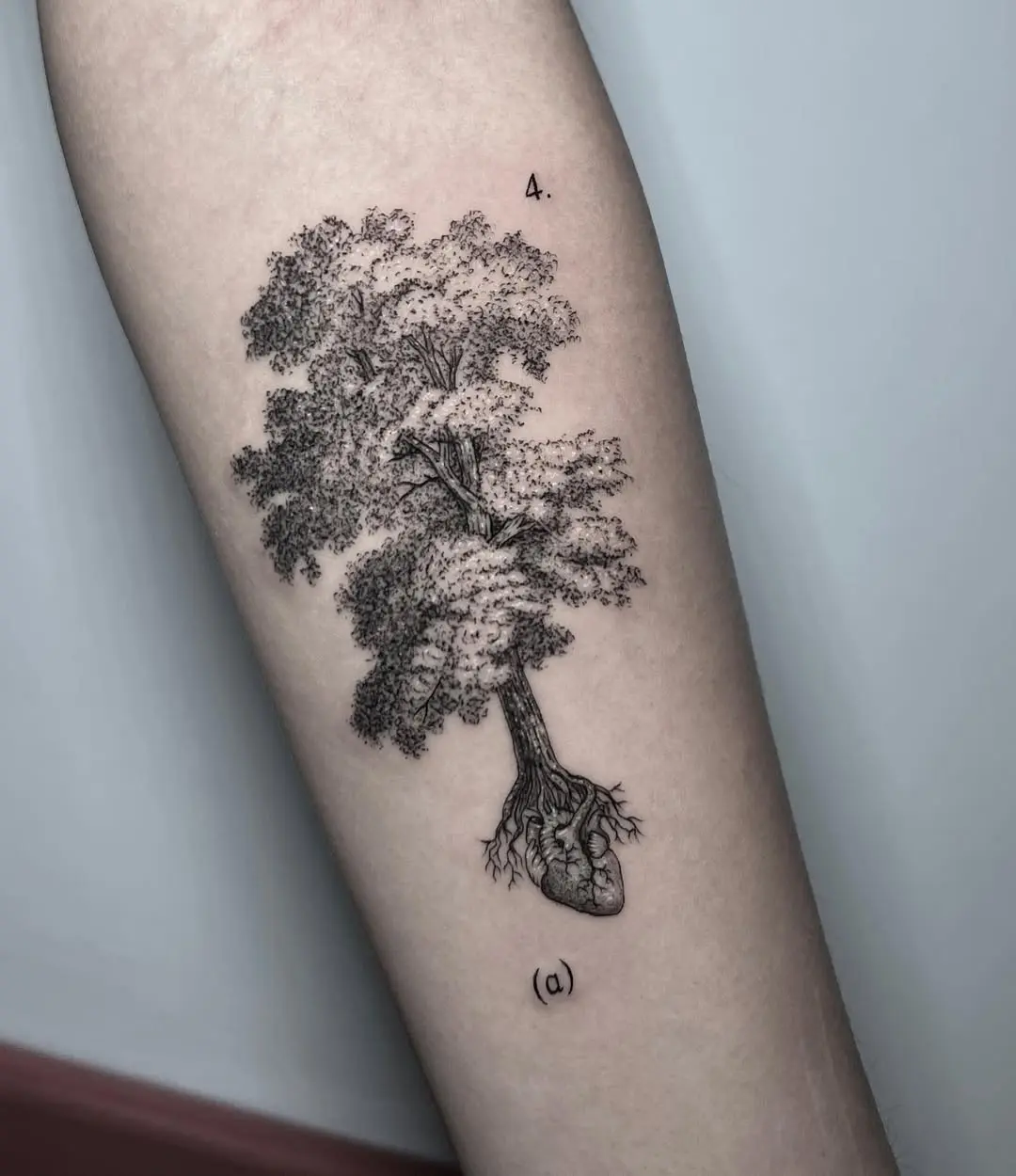 A heart intertwined with a majestic tree