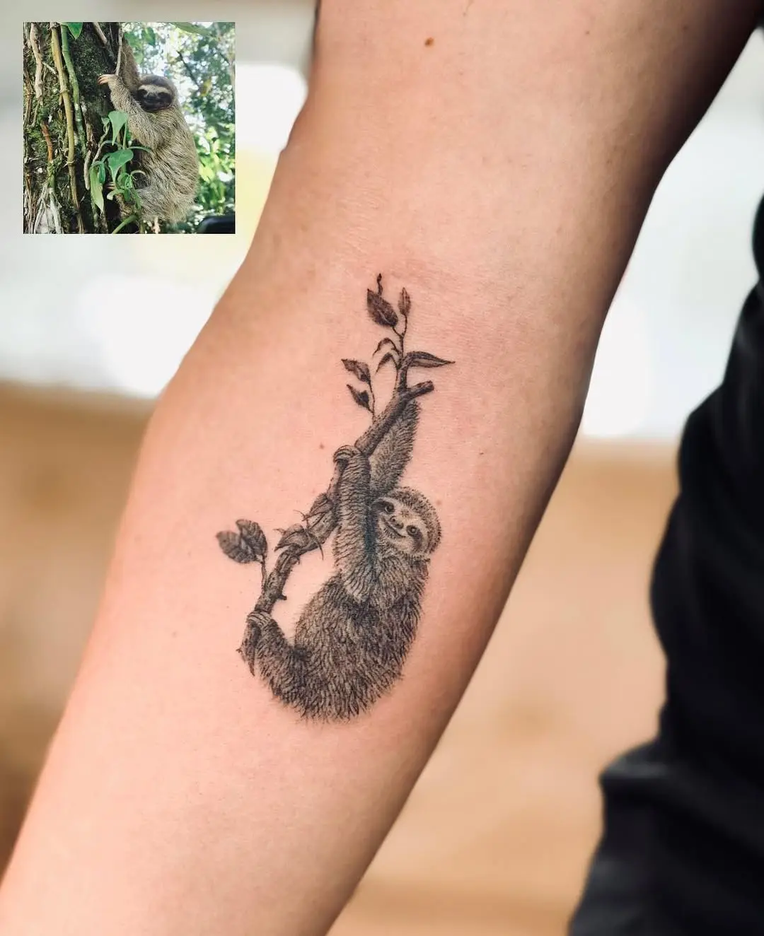 Charming Sloth Tattoo on Climbing Branch