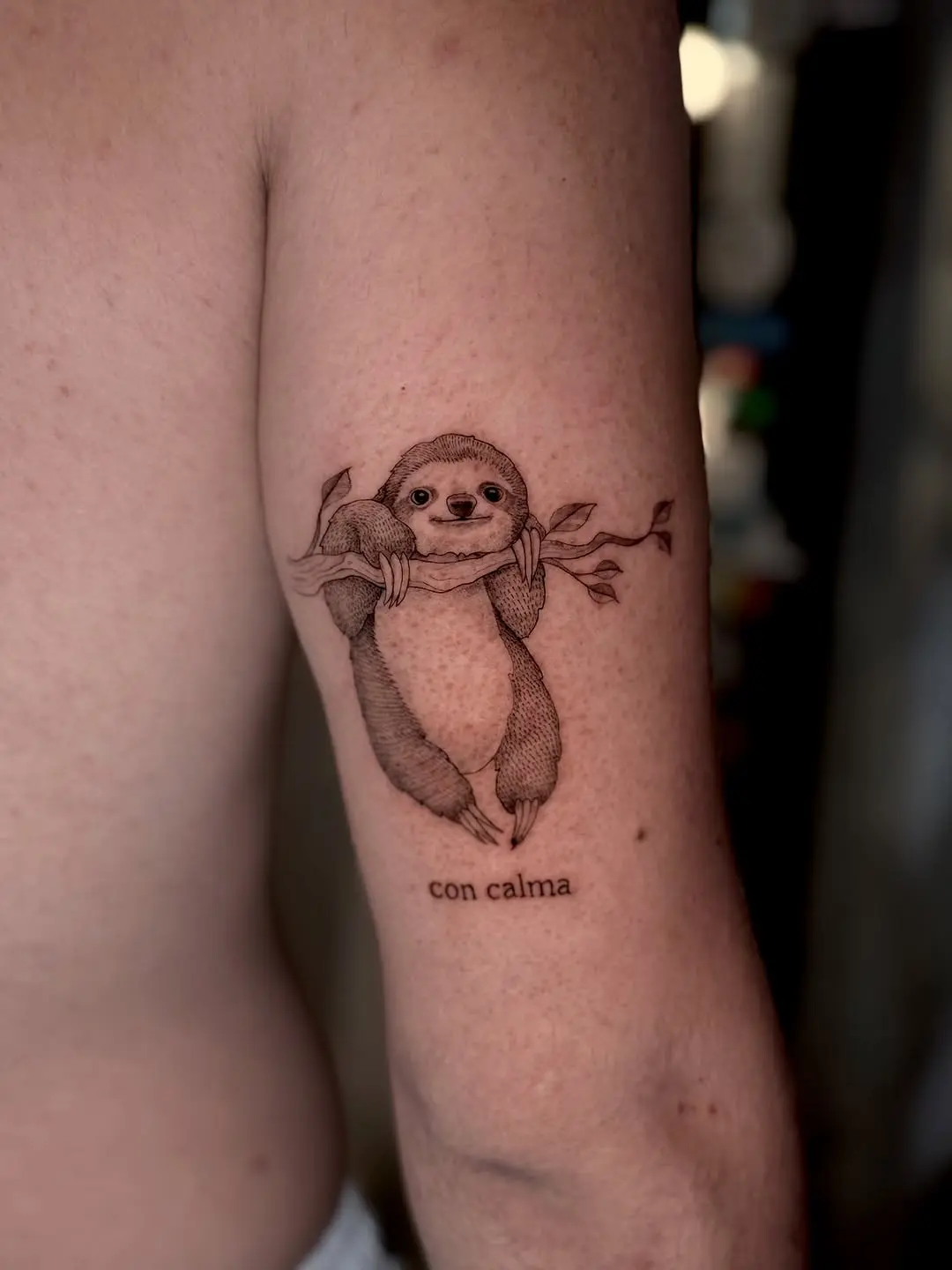 Charming sloth tattoo exuding calm vibes