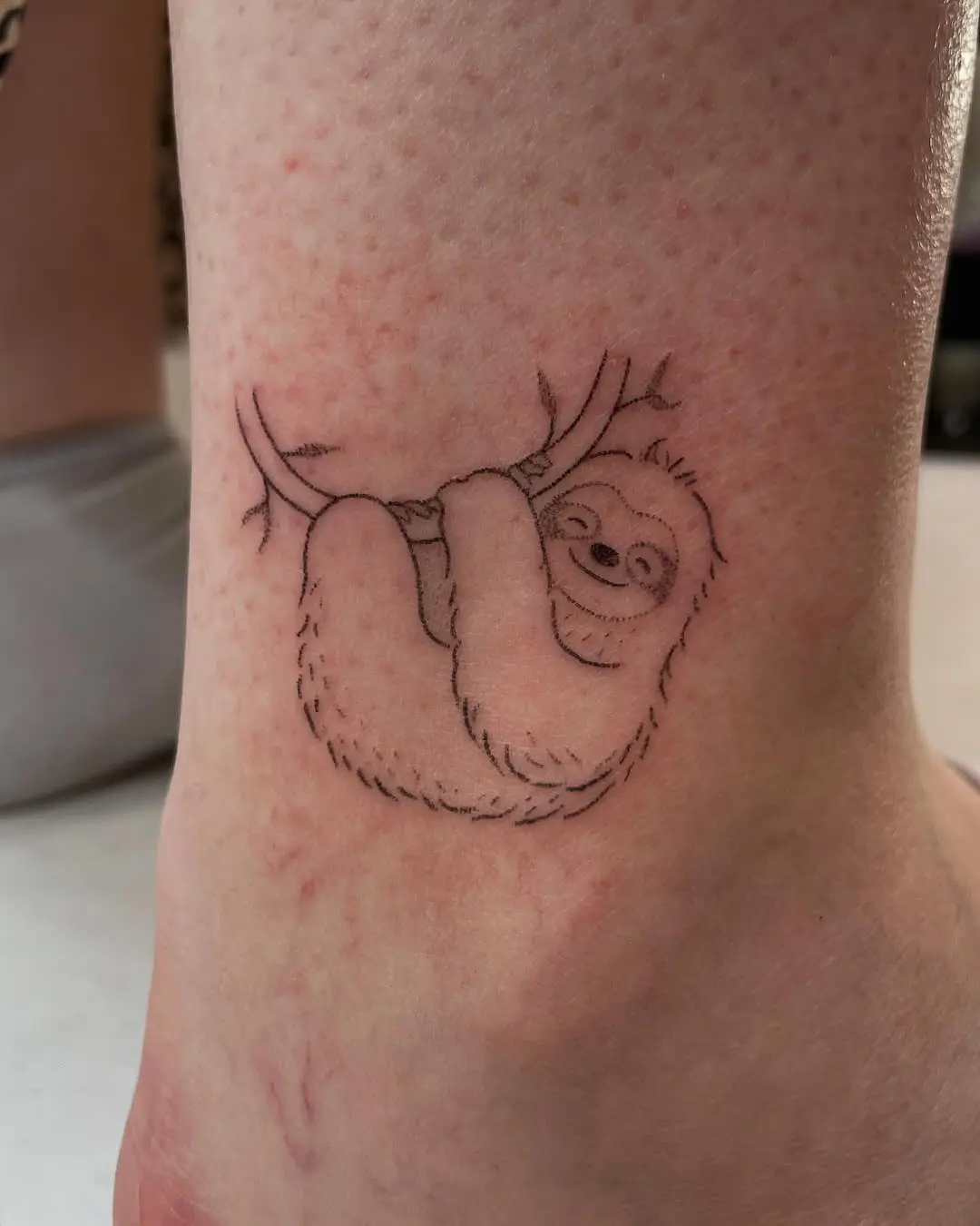 Charming Sloth Hanging from a Branch