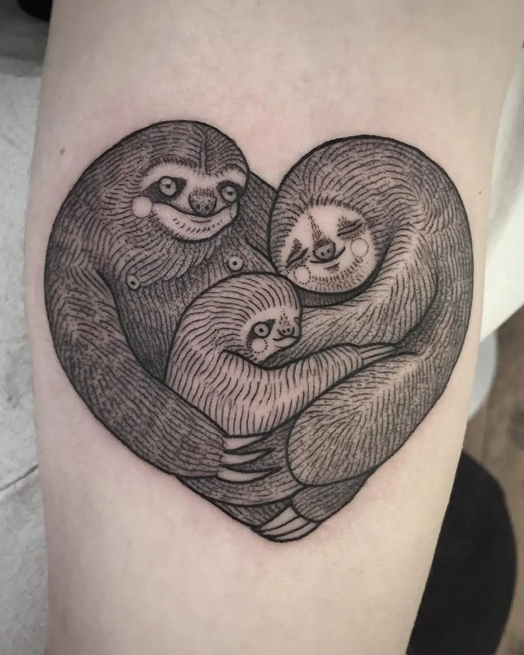 Adorable sloths embrace in a heart design