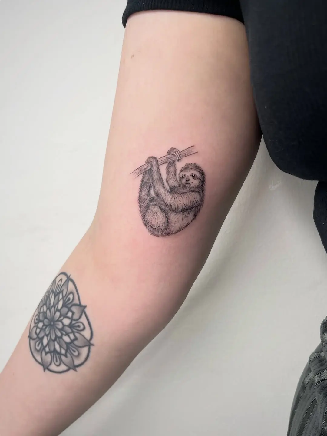 Charming sloth tattoo showcasing playful spirit