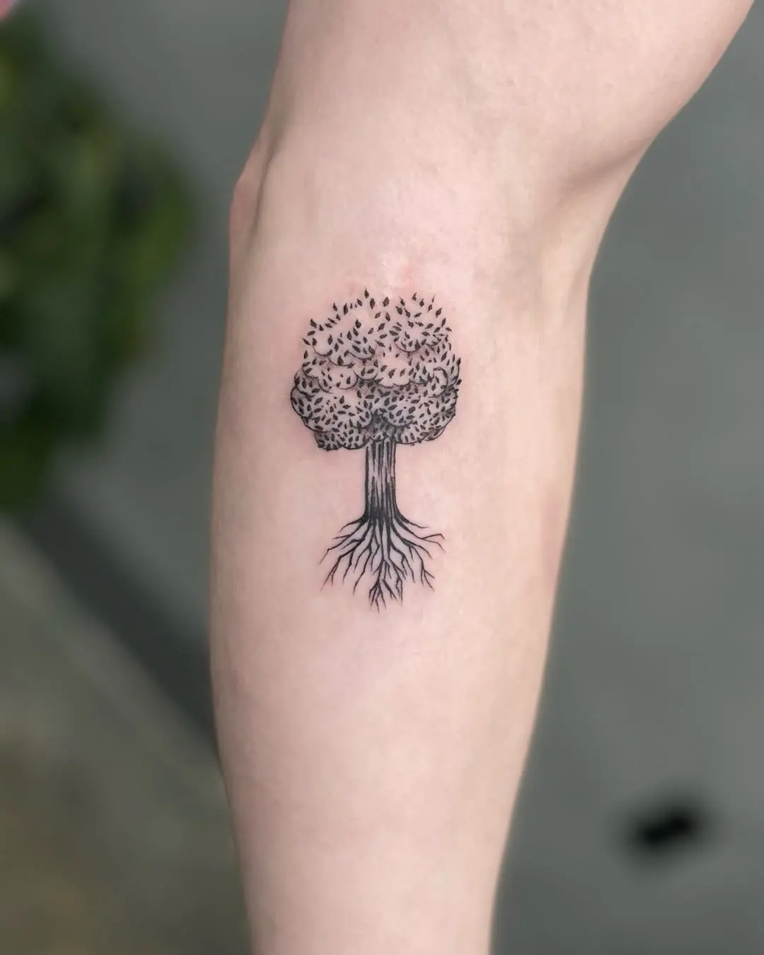 Intricate tree tattoo highlighting unique roots design