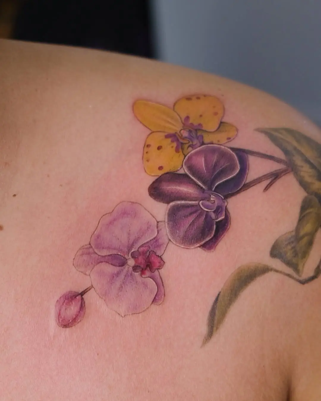 Colorful orchid tattoo on the shoulder