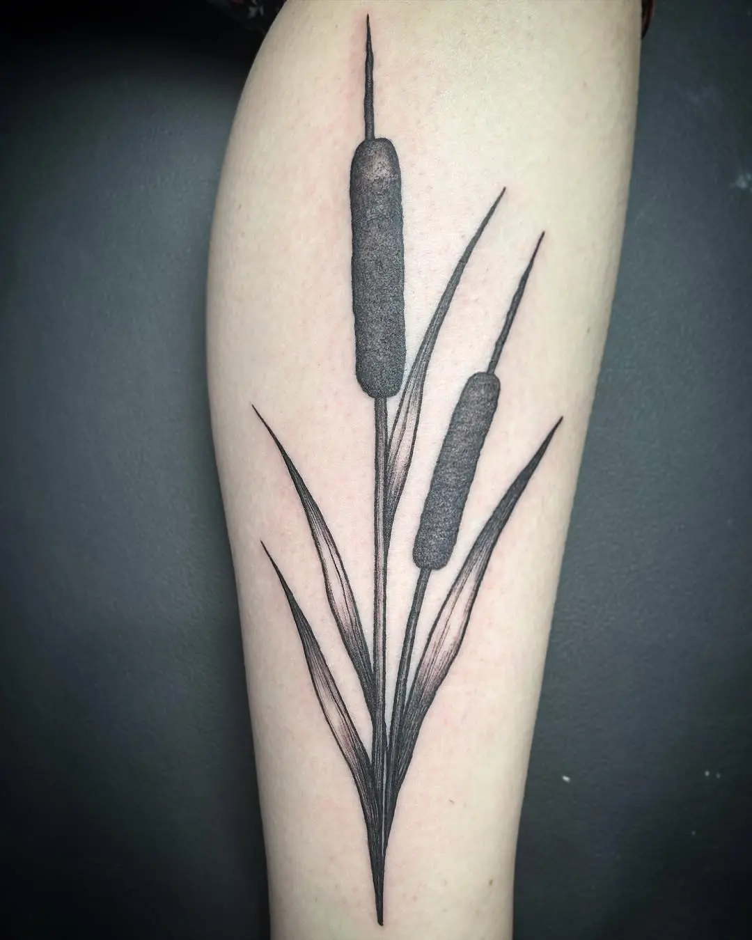 Elegant black outline cattail tattoo design