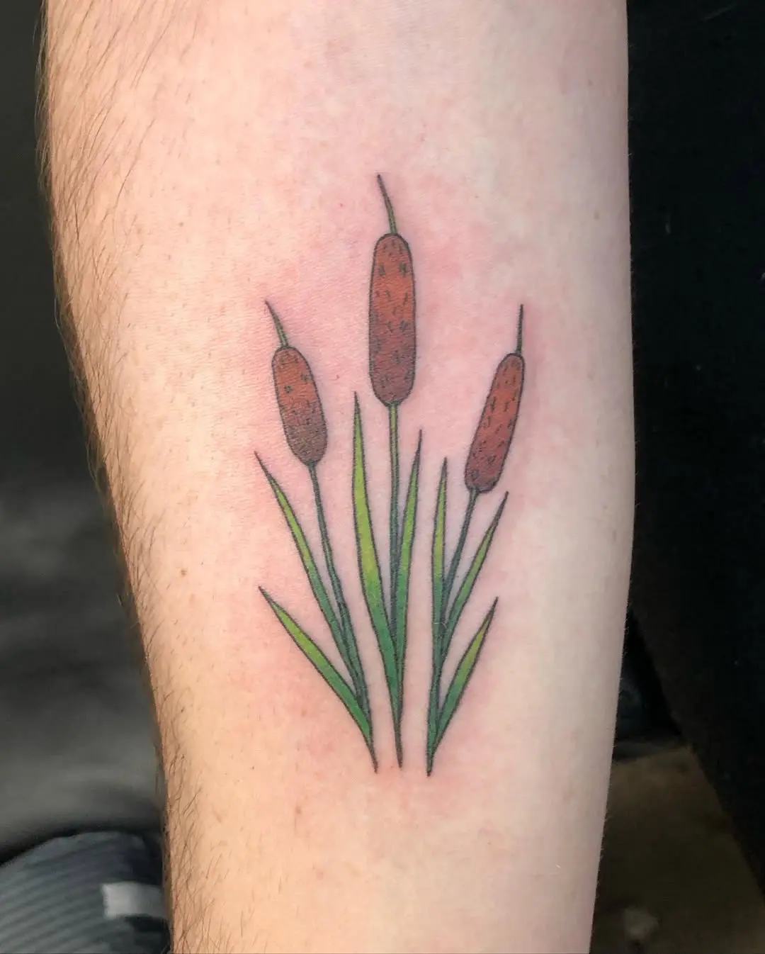Elegant cattail design in vibrant colors