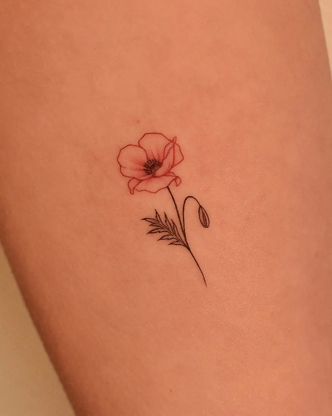 Delicate poppy tattoo with minimalist elegance