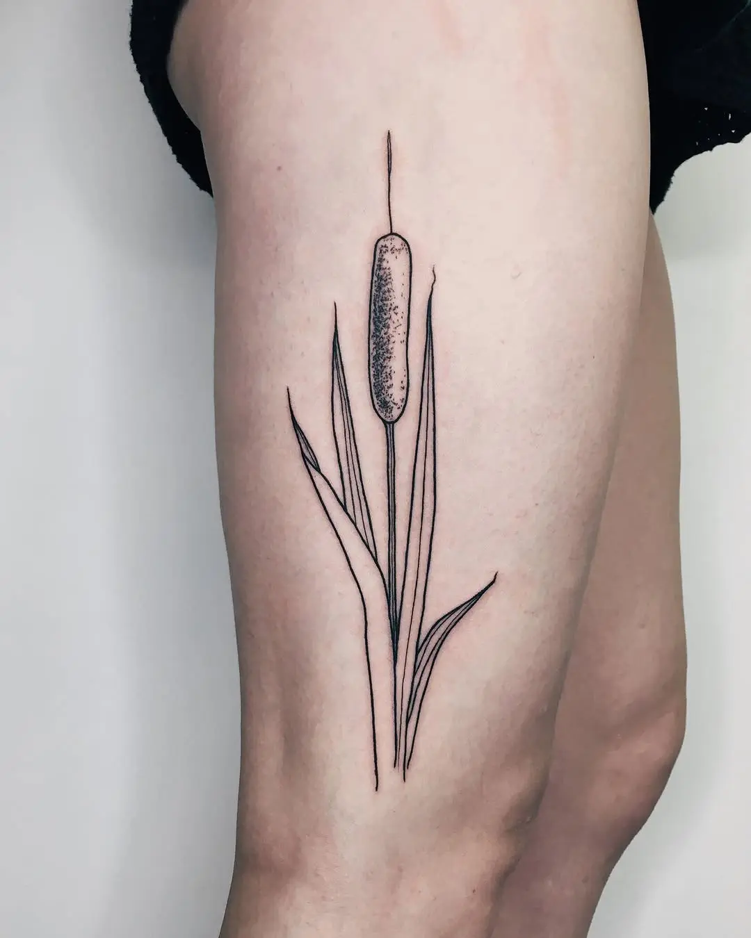 Minimalist cattail tattoo with striking detail