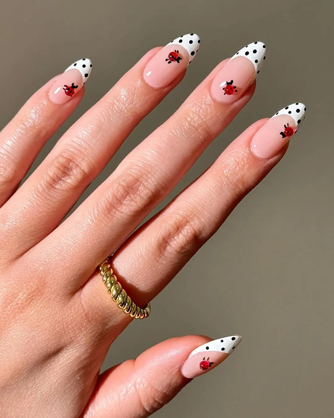 Chic ladybug design with playful polka dots