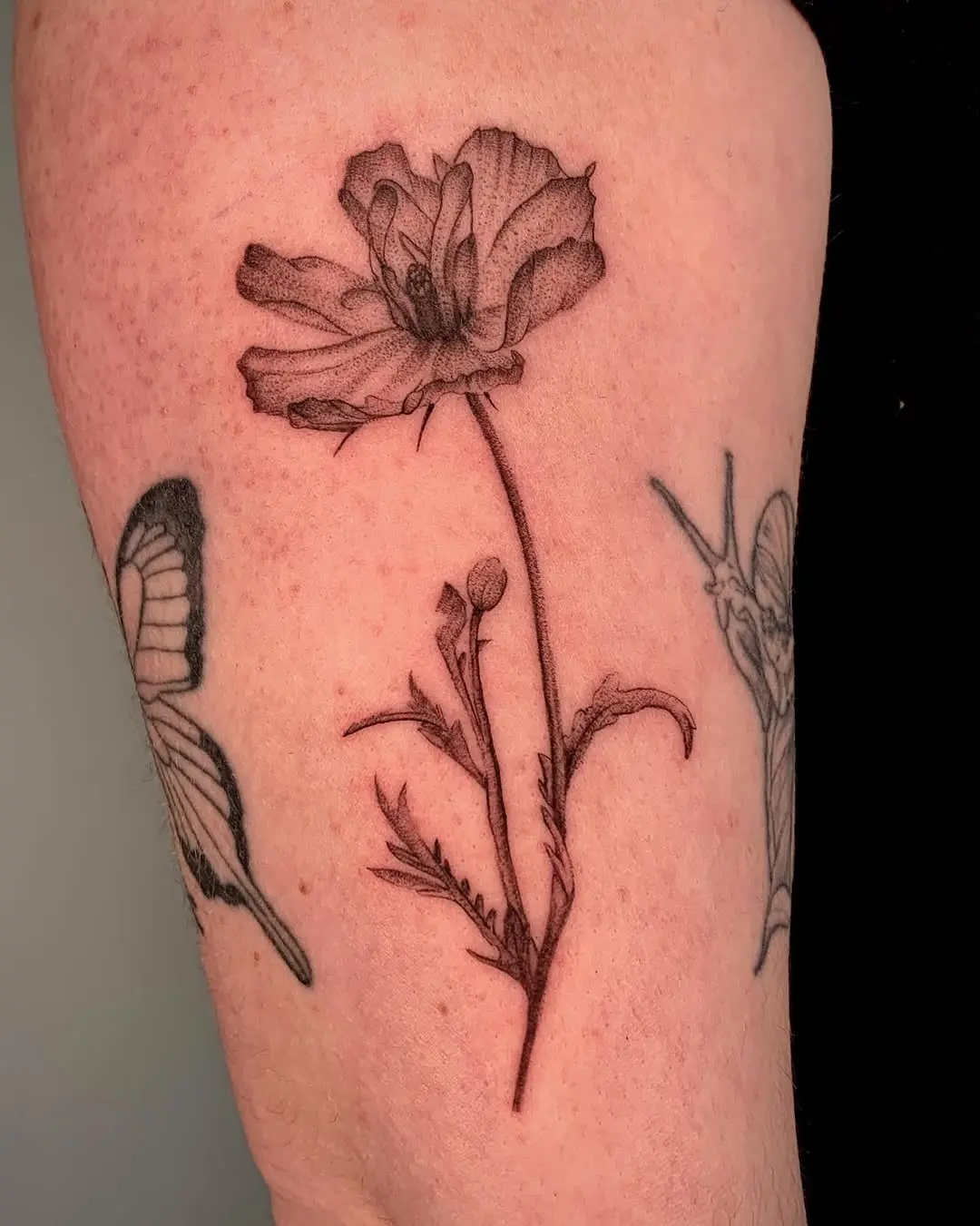 Delicate poppy tattoo showcasing intricate detailing
