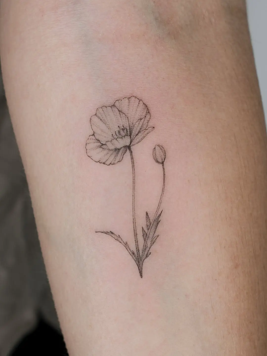 Elegant poppy tattoo showcasing delicate artistry