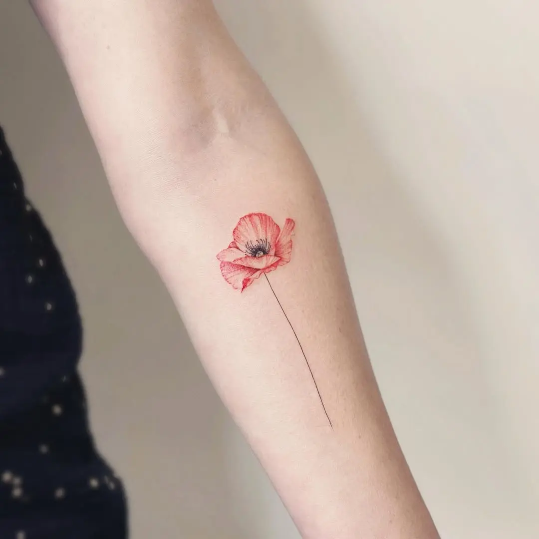 Stunning realistic poppy tattoo on the arm