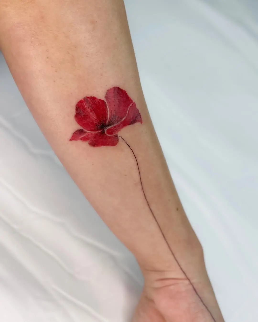 Stunning red poppy tattoo on the forearm