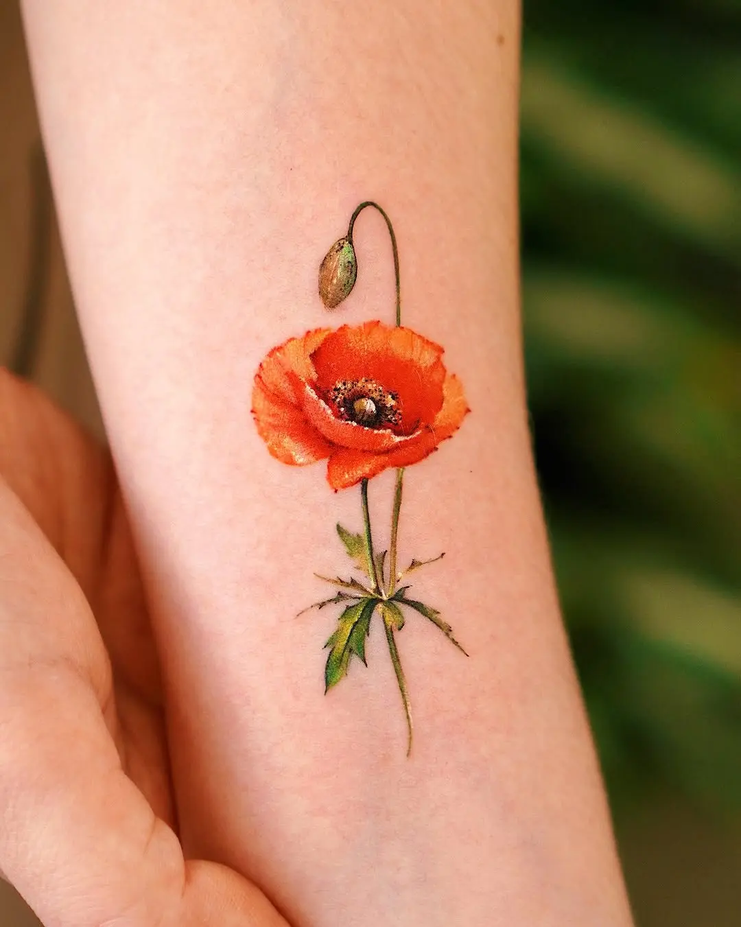 Stunning vibrant poppy tattoo on the arm