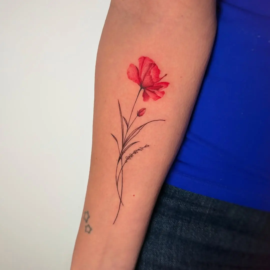 Stunning red poppy tattoo with delicate lines