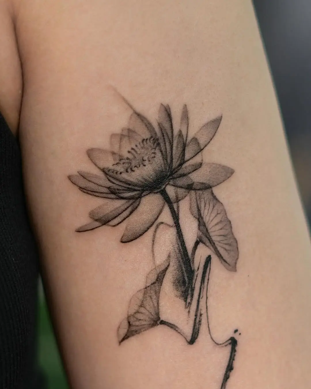 Elegant water lily tattoo with soft shading
