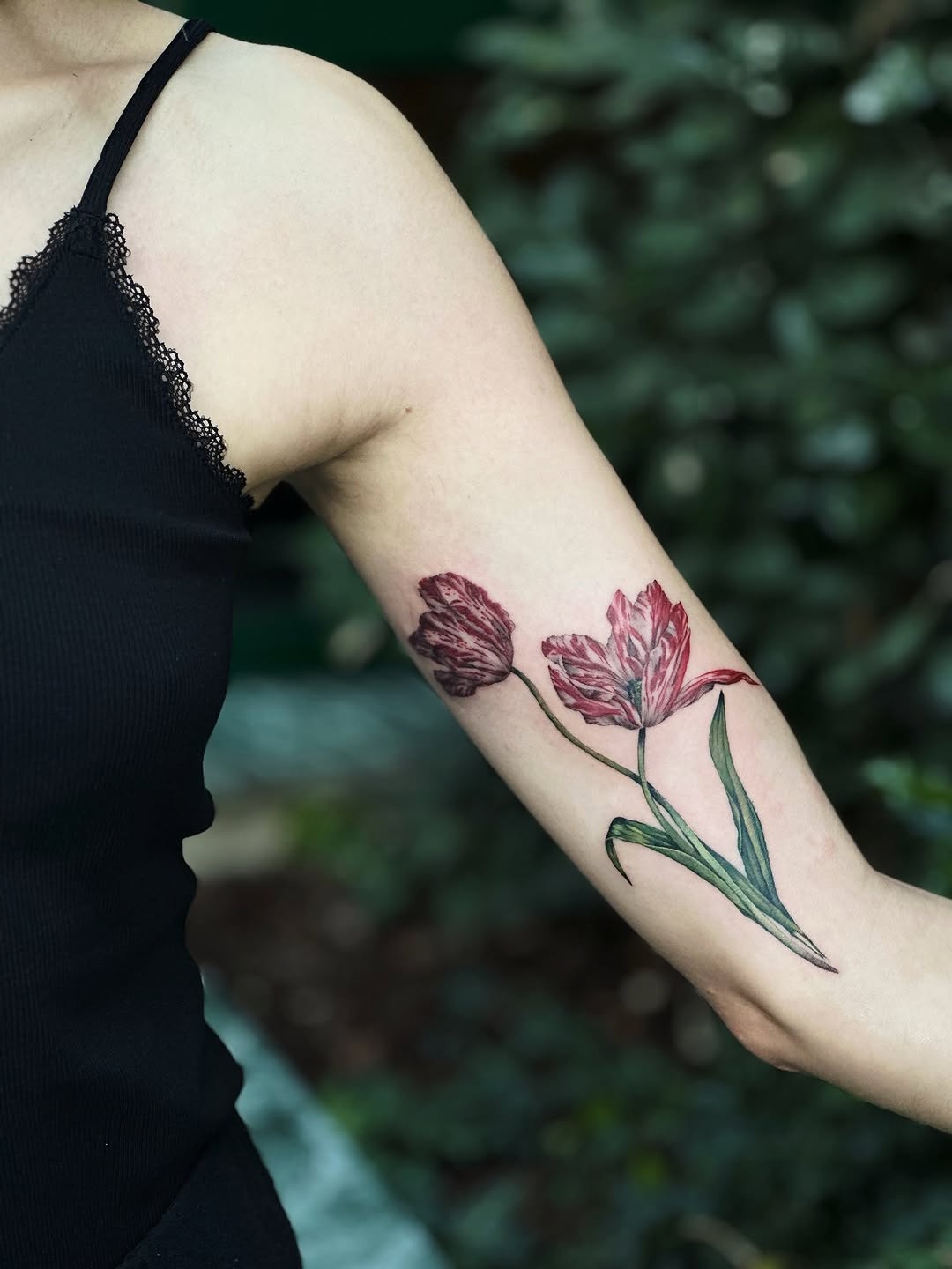 Elegant red tulips blossoming on the arm