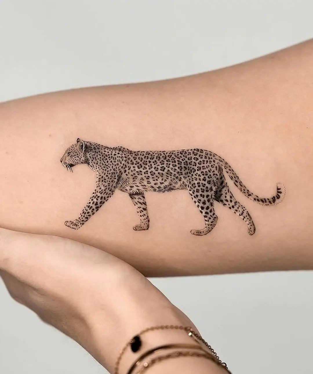 Elegant cheetah tattoo showcasing wild beauty