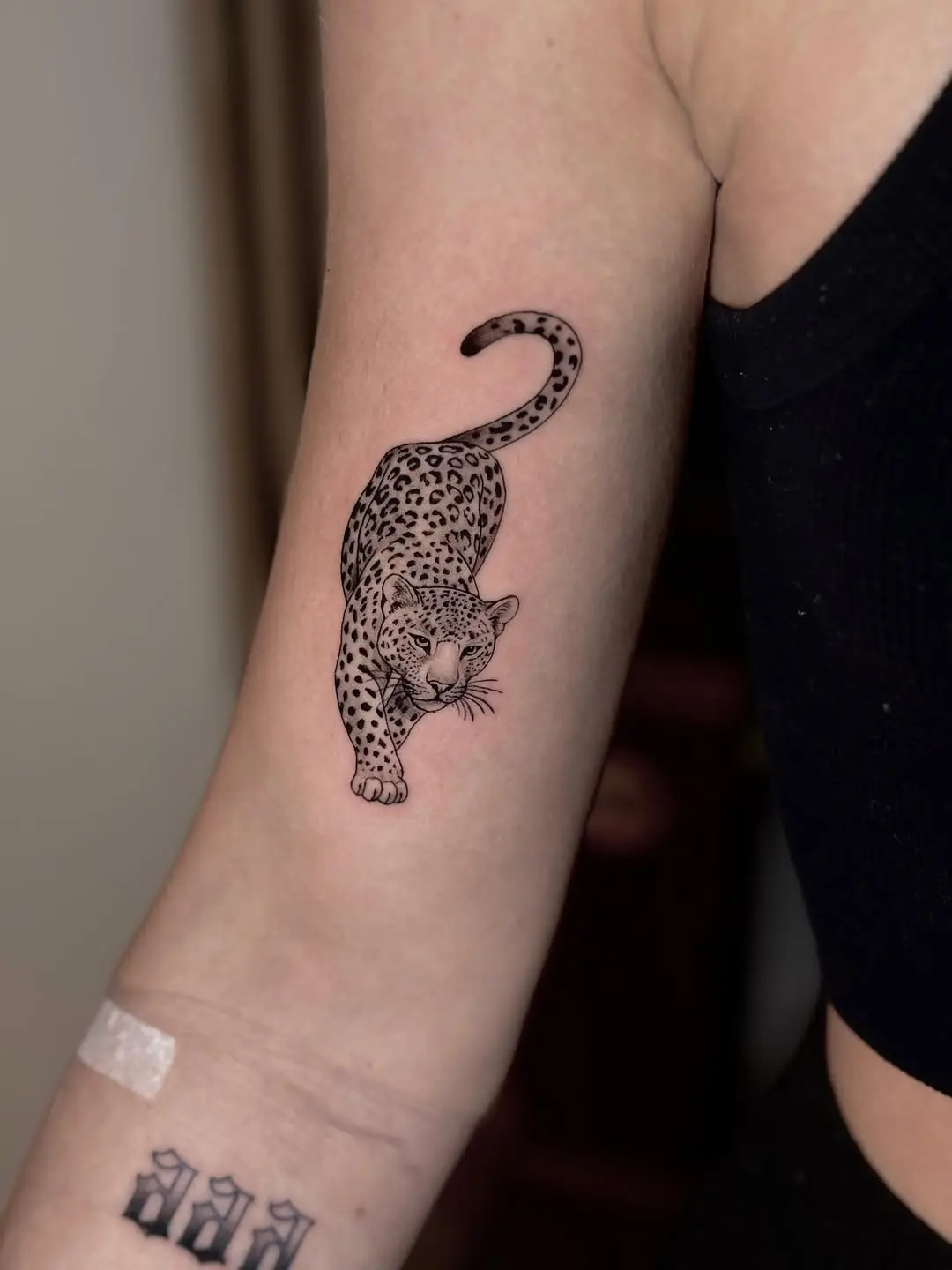 Graceful cheetah tattoo showcasing wild beauty