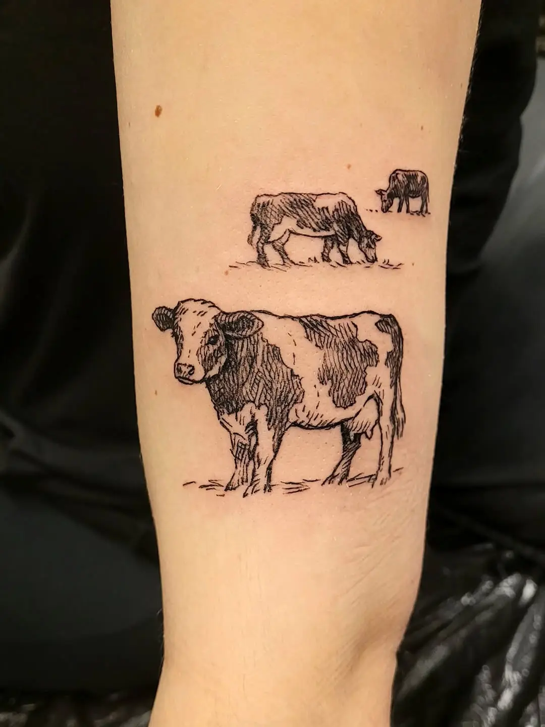 Detailed illustration of calm, grazing cows