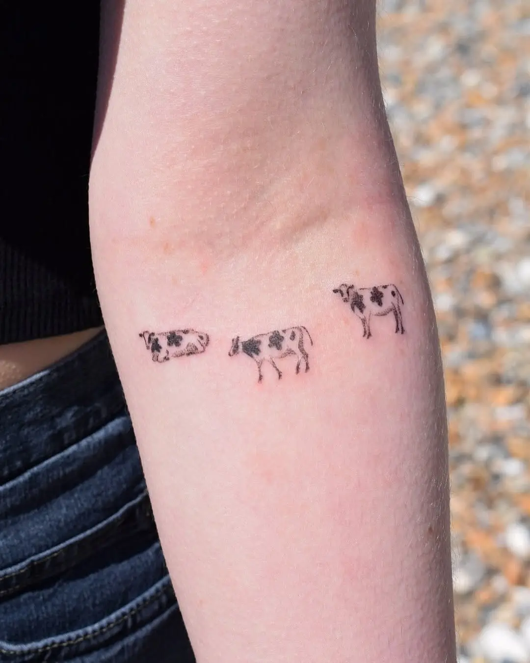 Minimalist cow tattoo design on the arm