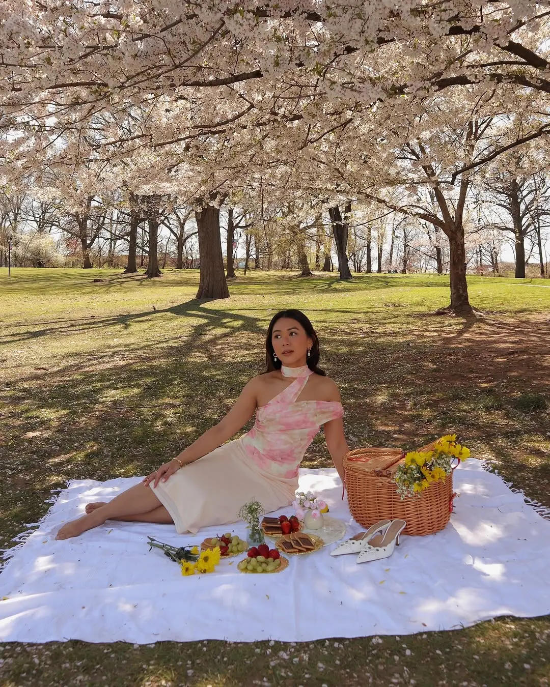 Chic Spring Picnic Outfit Perfect for Relaxation