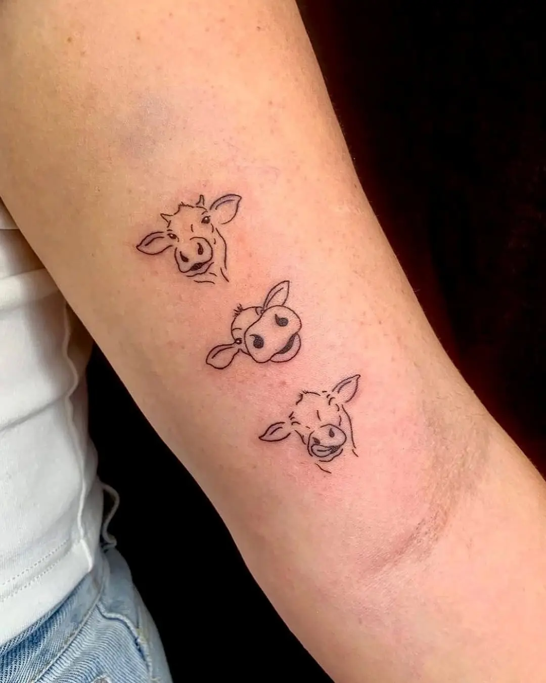 Three charming cow faces tattooed on arm