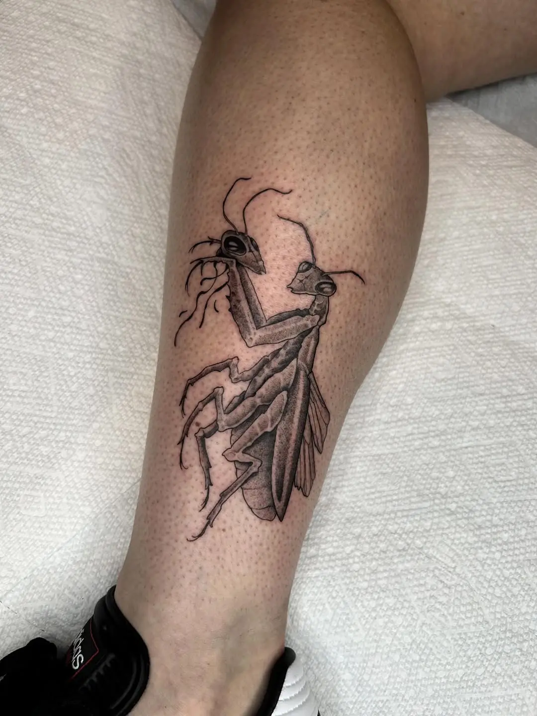 Detailed praying mantis tattoo on the leg