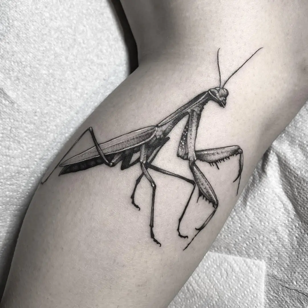 Stunning realistic praying mantis tattoo design