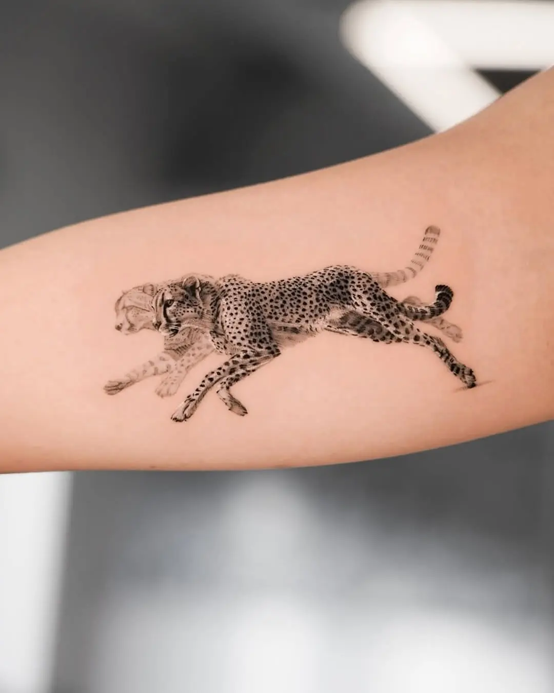Stunning realistic cheetah tattoo design