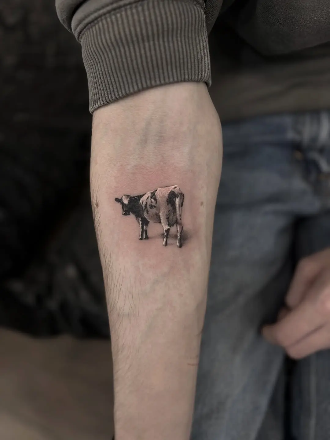 Elegant black and white cow tattoo on forearm