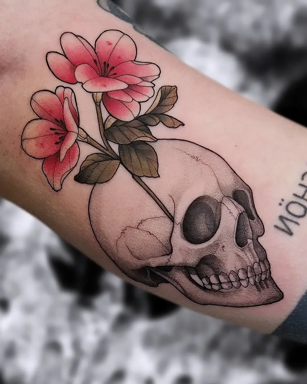 Intricate skull with blooming floral elements