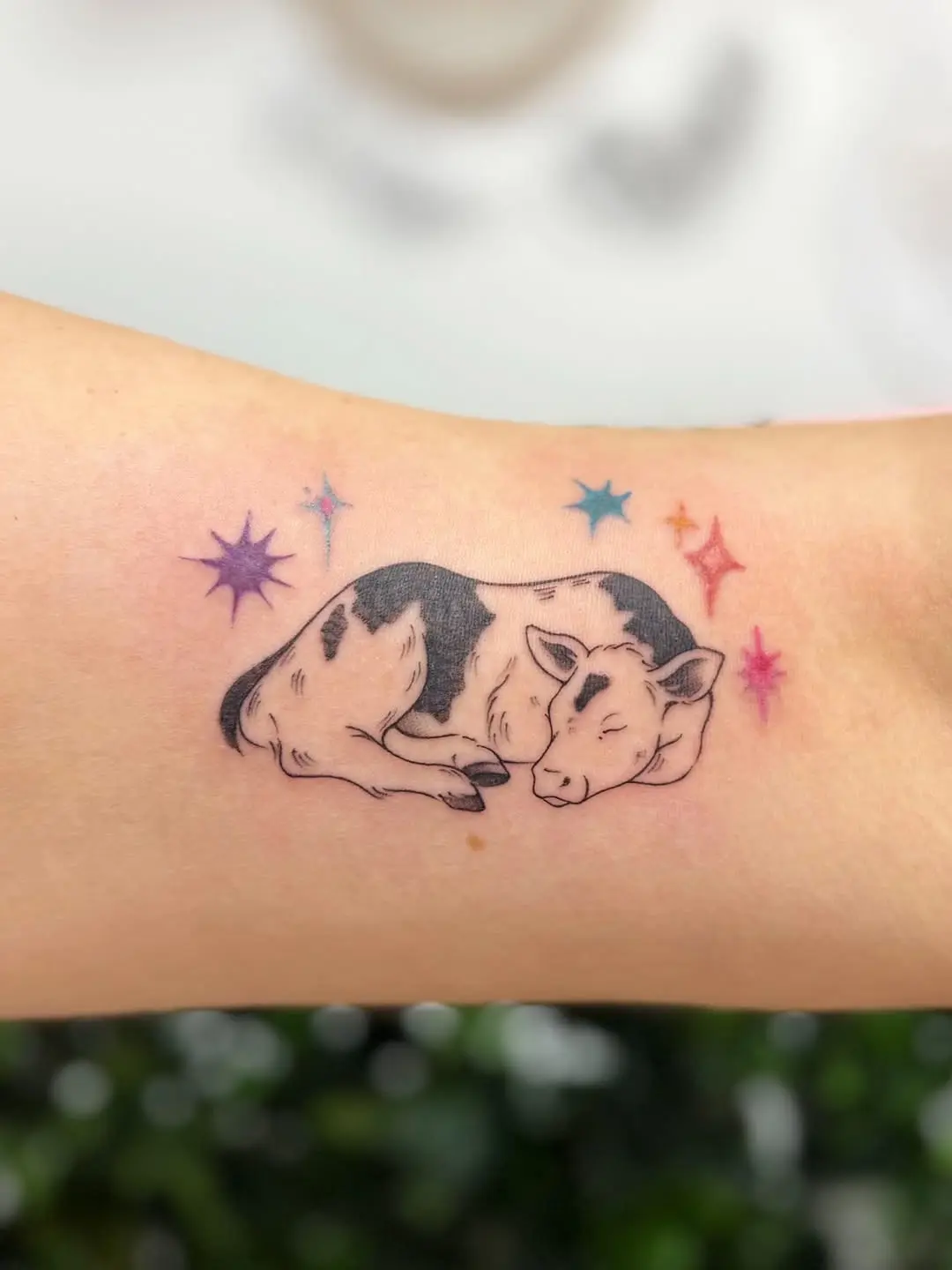Charming sleeping cow tattoo with starry accents