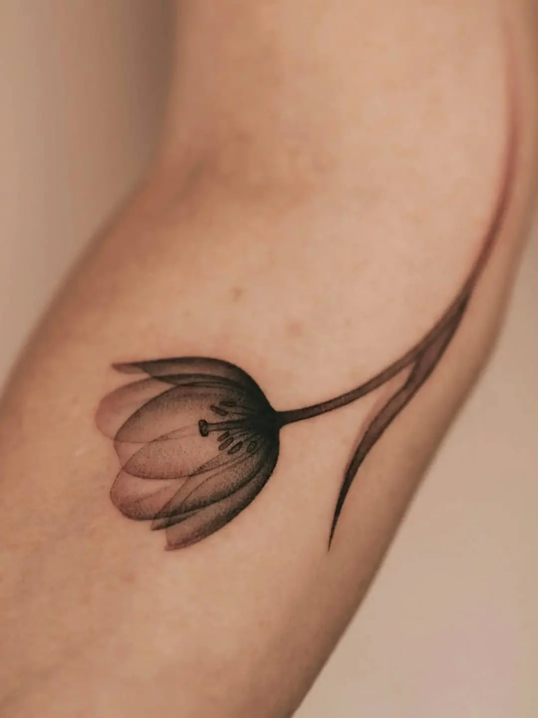 Elegant black ink tulip tattoo on the arm
