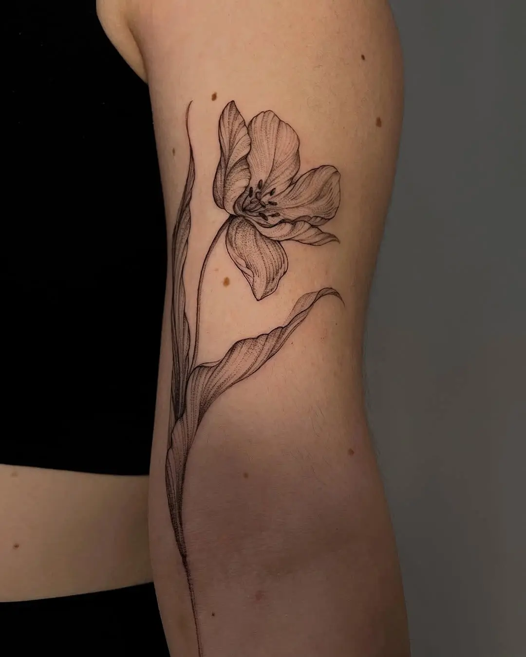 Elegant tulip tattoo with detailed linework