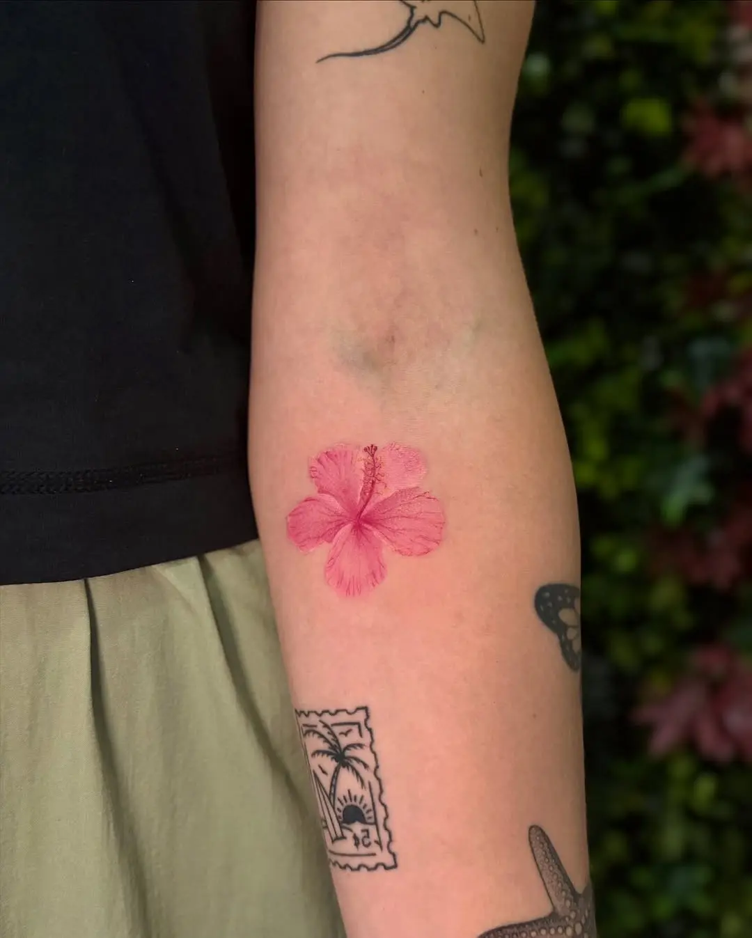 Delicate pink hibiscus tattoo on the arm