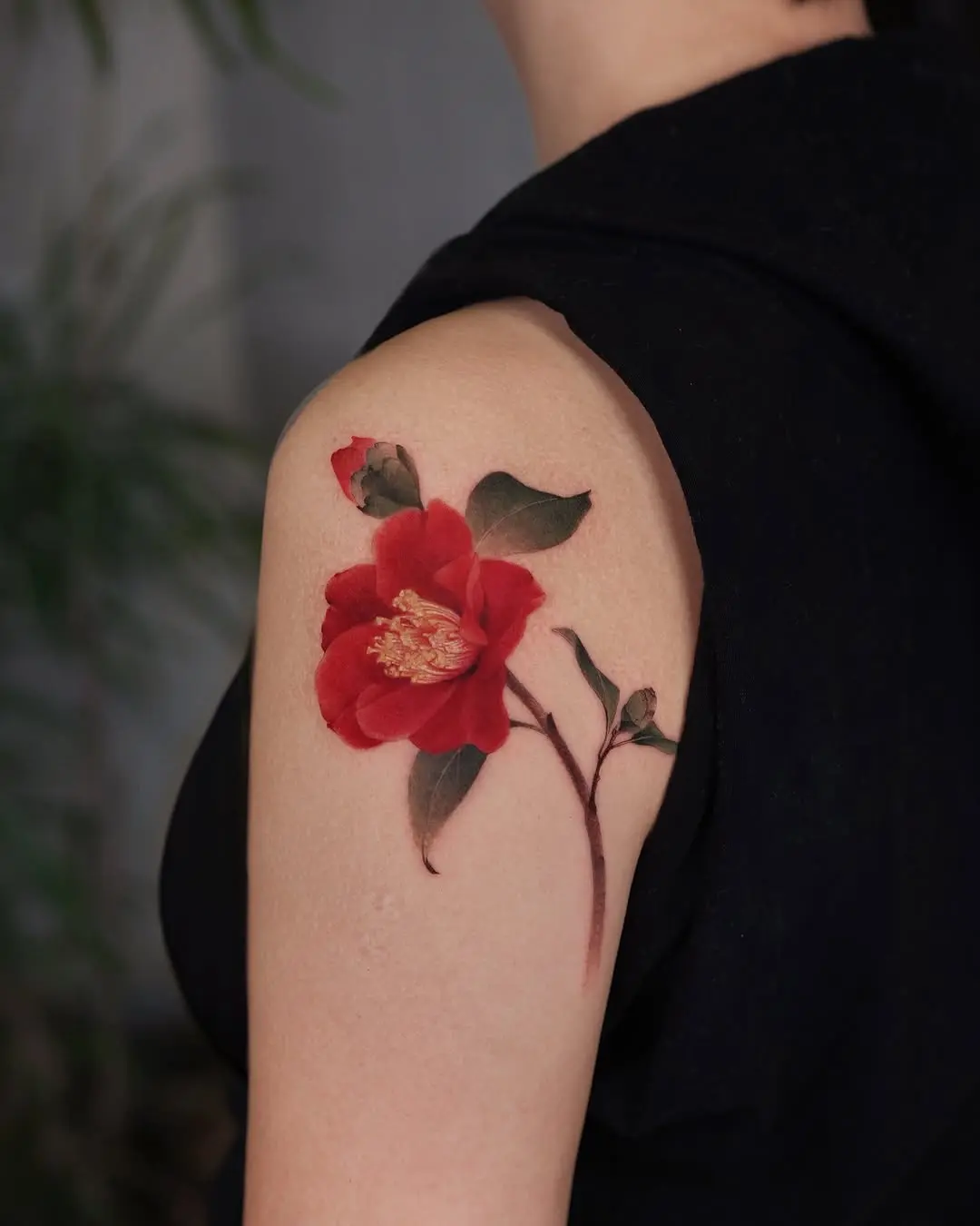 Elegant red camellia tattoo enhances skin beauty