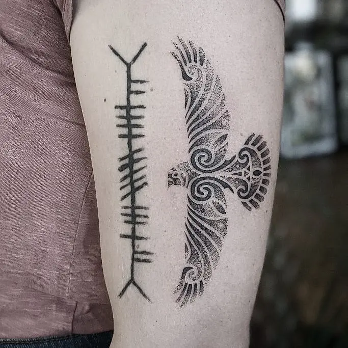Intricate Celtic designs featuring a majestic hawk