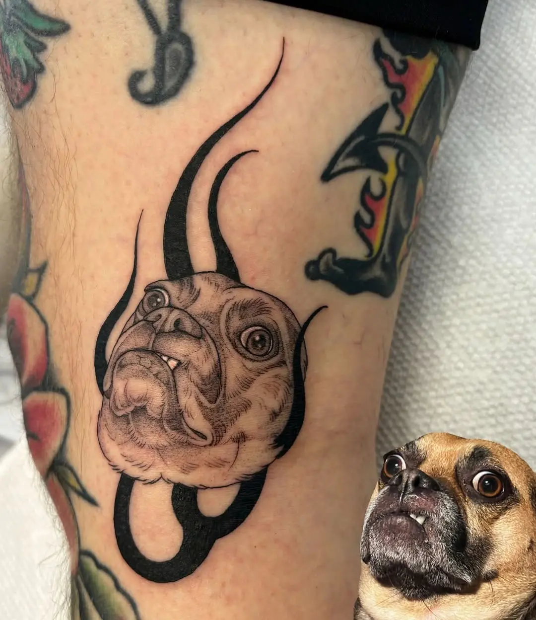 Unique dog portrait with intricate detail