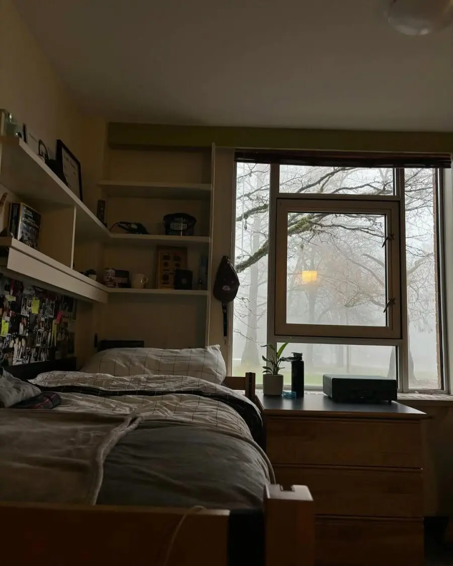 Cozy minimalist dorm with soothing foggy view