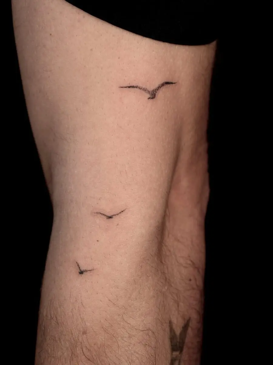 Three flying birds symbolize freedom and peace