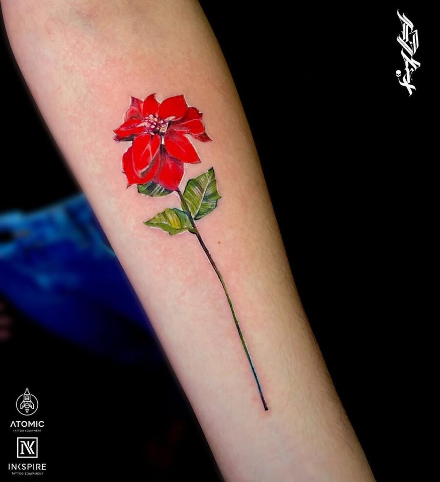 Vibrant Poinsettia Tattoo on the Forearm